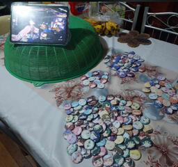 Pins Stock Checking